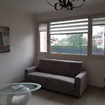 New